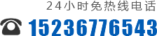 0391-3299600